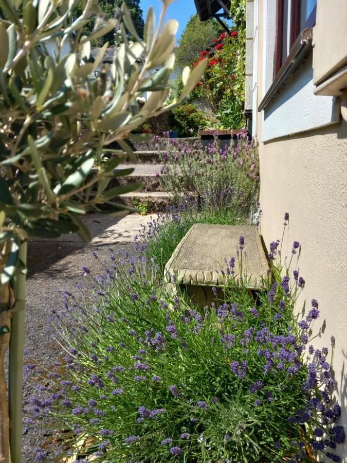 Bossell Cottage Devon บัคฟาสต์ลีย์ ภายนอก รูปภาพ
